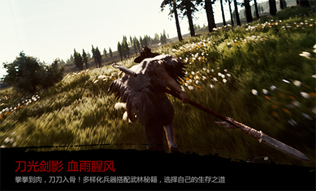 武侠乂