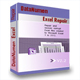 DataNumen Excel Repair