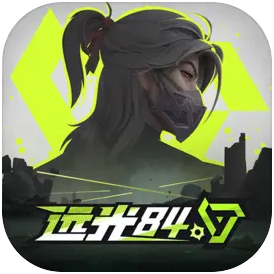 远光84