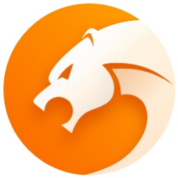 猎豹安全浏览器8win7版