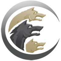 Cerberus FTP Server