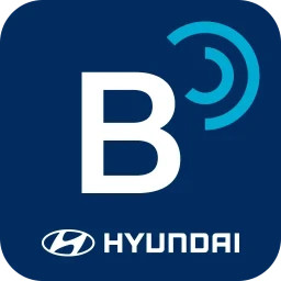 Bluelink