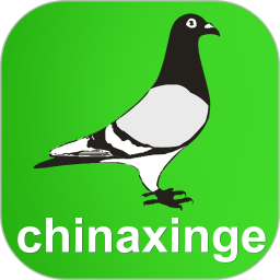 中信网-信鸽信息网